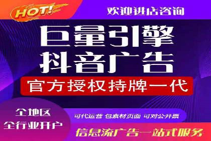 百度推广中的创意策略：成功案例解析与启示